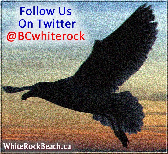 Follow us on TWITTER @BCwhiterock
