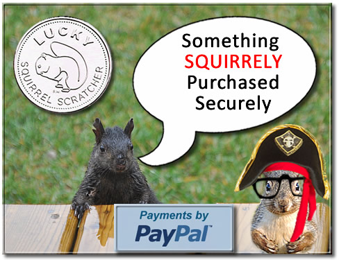 squirrely-ad-02