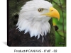 canvas-8x8-01-eagle