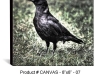canvas-8x8-07-CROW-Edgar