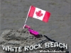 White-Riock-CDN-DAY15