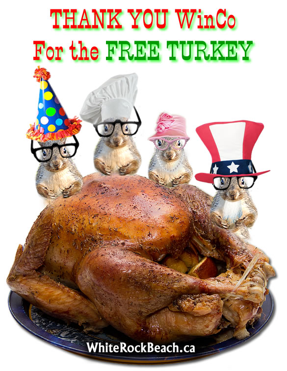 free-turkey