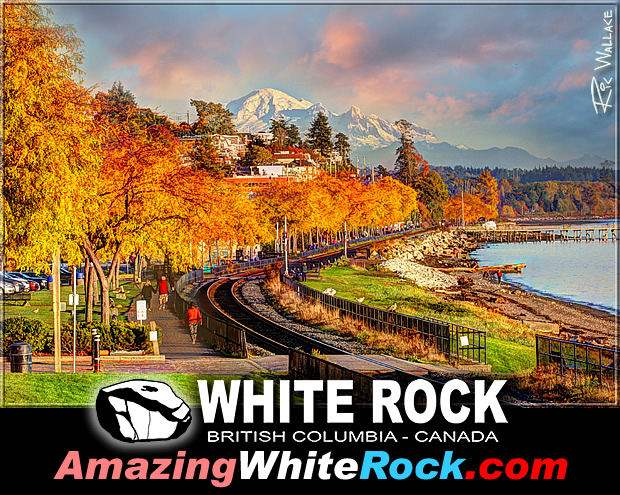FREE White Rock Beach Magnet Today ONLY at the White Rock Beach Gallery ...